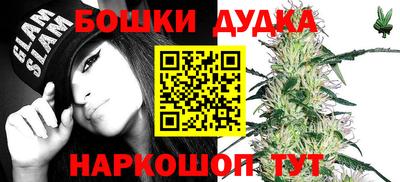 стаф Краснодар