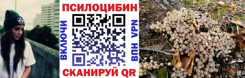 Псилоцибиновые грибы GOLDEN TEACHER Калуга