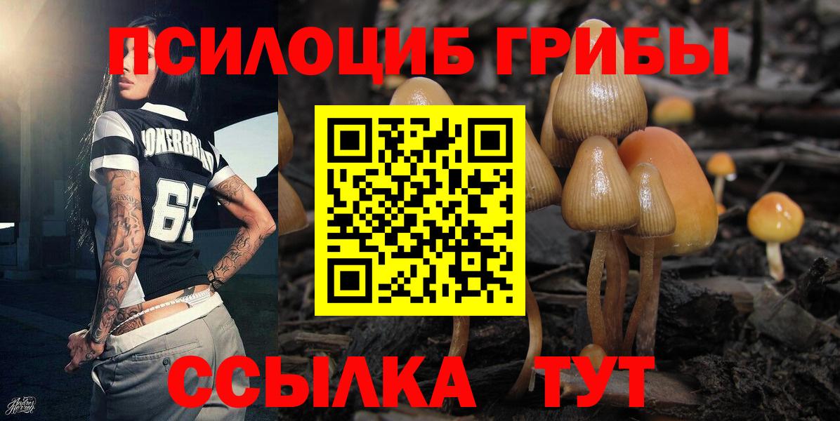 Галлюциногенные грибы Magic Shrooms  Вход с VPN  Калуга 
