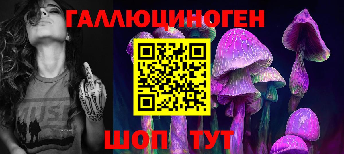Галлюциногенные грибы Psilocybe Калуга